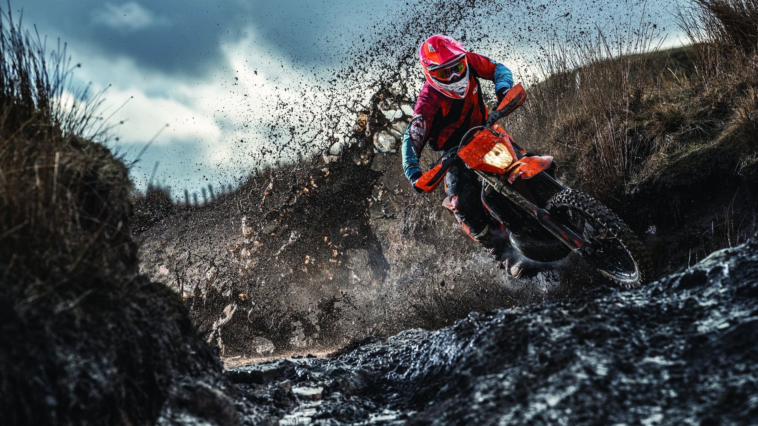 跨界奇袭,浙江队带走奇才,小贾伦在意甲焦点战接管比赛