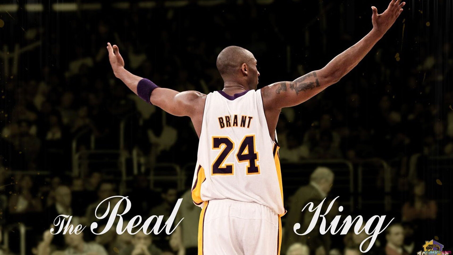 拉塞尔绝地反击点燃赛场，迈凯伦轻取威廉姆斯的战术启示